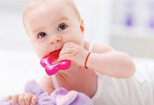 mordedores e a saúde bucal dos bebês
